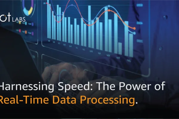 Harnessing Speed: The Power of Real-Time Data Processing.